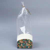 Пакет с коробкой «Новогодняя ботаника», 12 х 12 х 40 см, Новый год Пакет с коробкой «Новогодняя ботаника», 12 х 12 х 40 см, Новый год