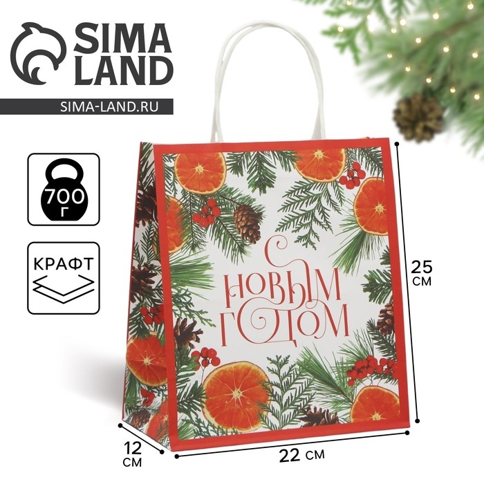 Пакет подарочный новогодний крафтовый «Новогоднее чудо», 22 х 25 х 12 см, Новый год Пакет подарочный новогодний крафтовый «Новогоднее чудо», 22 х 25 х 12 см, Новый год