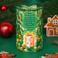Чай зеленый Хэйлис "С Новым Годом", 30г