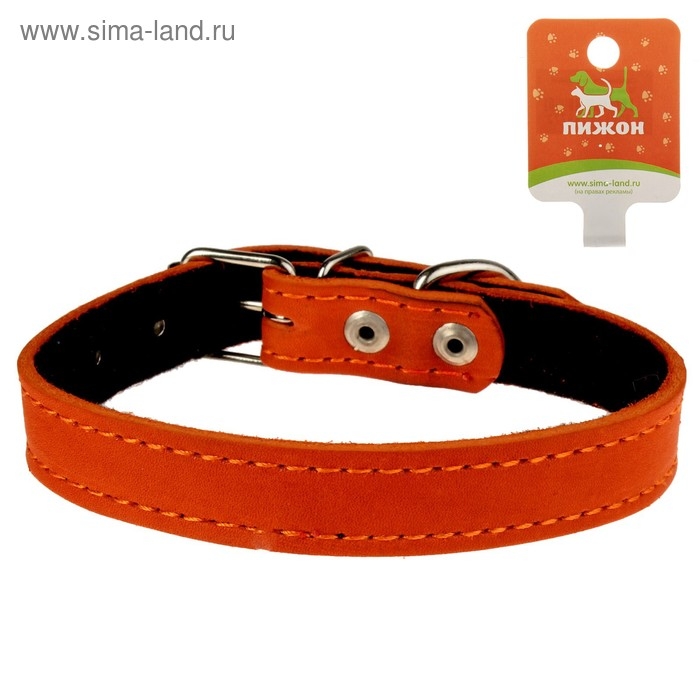 Ошейник кожаный на синтепоне, 45 х 2 см,  ОШ 25-35 см, оранжевый