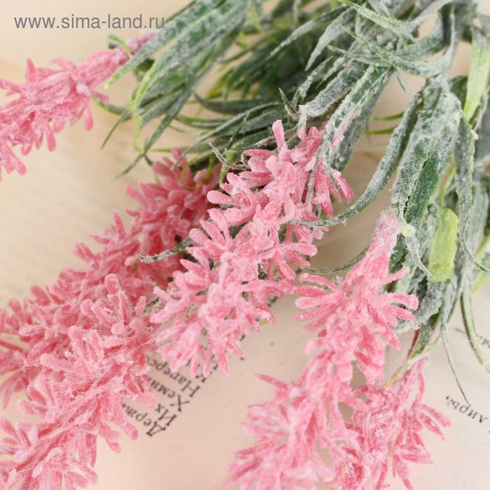 Букет "Кипрей" с напылением, 26 см, микс