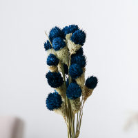 Сухоцвет &laquo;Гомфрена шаровидная&raquo; набор 20 шт., цвет голубой