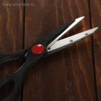 Набор ножей кухонных на подставке, 6 предметов: 5 ножей 8,5 см, 12 см, 12 см, 19,7 см, 19 см, ножницы, цвет чёрный Набор ножей кухонных на подставке, 6 предметов: 5 ножей 8,5 см, 12 см, 12 см, 19,7 см, 19 см, ножницы, цвет чёрный