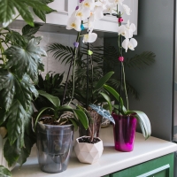 Горшок для орхидей, 1,2 л, 12,5 &times; 16,6 см, пластик, прозрачно-малиновый