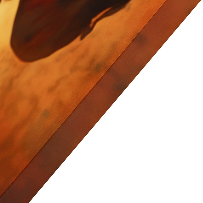 Картина на холсте Картина на холсте "Ифе" 60*100 см