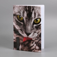 Папка для документов &laquo;Docs&raquo;, 8 файлов А4