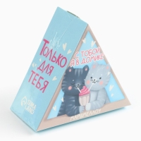 Маршмеллоу в виде колпочка «С тобой в домике», со вкусом малины, 38 г Маршмеллоу в виде колпочка «С тобой в домике», со вкусом малины, 38 г