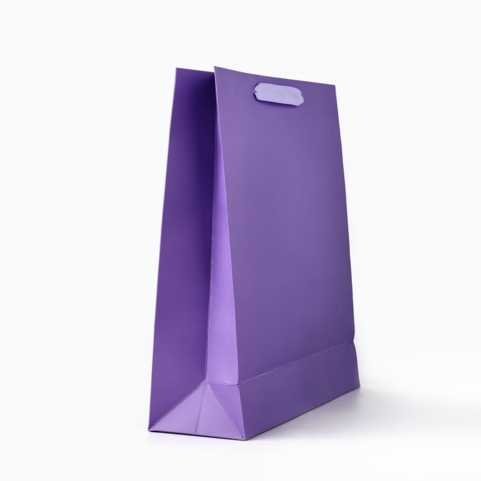 Пакет подарочный &laquo;Подарок&raquo;, голография, M 26 х 9 х 30 см