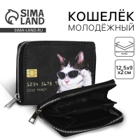 Кошелёк женский «Где деньги» 12х9,5х2 см Кошелёк женский «Где деньги» 12х9,5х2 см