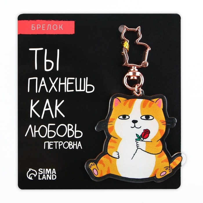 Брелок для ключей акриловый &laquo;Котик&raquo;, 6 х 5,4 см