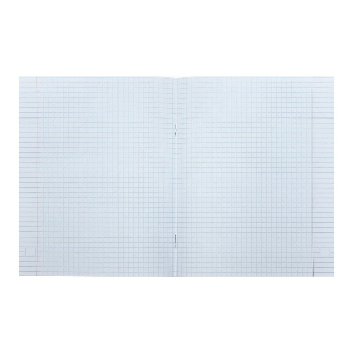 Тетрадь 48 листов в клетку Calligrata Neon, обложка мелованный картон, УФ-лак, блок офсет, МИКС Тетрадь 48 листов в клетку Calligrata Neon, обложка мелованный картон, УФ-лак, блок офсет, МИКС