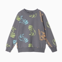 Свитшот для мальчиков, цвет графит/дино, рост 116 Свитшот для мальчиков, цвет графит/дино, рост 116