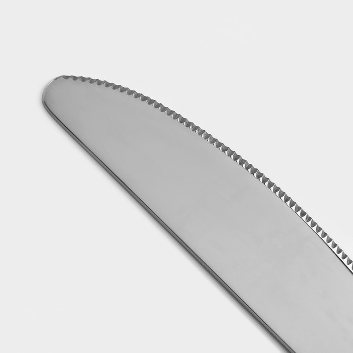 Набор столовых приборов из нержавеющей стали Magistro Chemis, 24 предмета, в коробке, цвет серебряный Набор столовых приборов из нержавеющей стали Magistro Chemis, 24 предмета, в коробке, цвет серебряный