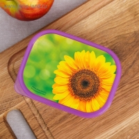 Ланч-бокс &laquo;Подсолнух&raquo;, 500 мл