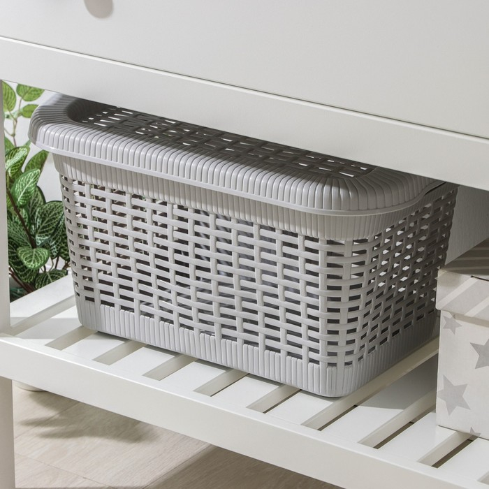 Корзина для хранения с крышкой, 45&times;28&times;24 см, 20 л, цвет МИКС