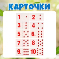 Развивающий набор &laquo;Считаем букашек&raquo;