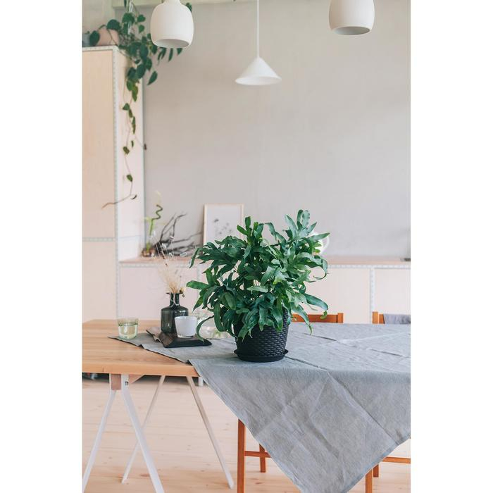 Горшок с поддоном &laquo;Ротанг&raquo;, 4,7 л, цвет коричневый