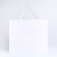 Пакет подарочный с широким дном 35 х 29 х 28 см, белый Пакет подарочный с широким дном 35 х 29 х 28 см, белый