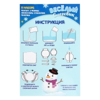 Набор для опытов &laquo;Весёлый снеговик&raquo;