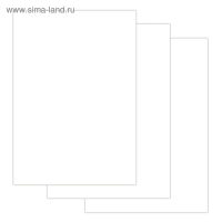 Папка для черчения А3, 24 листа, 200 г/м, BRAUBERG, без рамки, ватман ГОЗНАК КБФ