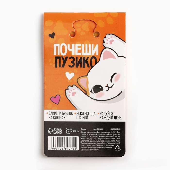 Брелок для ключей акриловый &laquo;Знают котики&raquo;, 10 х 5 см