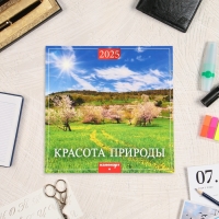 Календарь перекидной на скрепке "Красота природы" 2025 год, 6 листов, 29х29 см Календарь перекидной на скрепке "Красота природы" 2025 год, 6 листов, 29х29 см