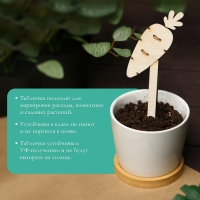 Таблички садовые для маркировки, 12 см, набор 8 шт., дерево, «Морковь», Greengo Таблички садовые для маркировки, 12 см, набор 8 шт., дерево, «Морковь», Greengo