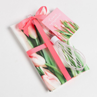 Набор подарочный &laquo;Весеннее настроение&raquo; полотенце 40х73 см, венчик кухонный.