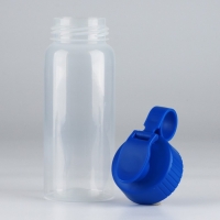 Бутылка для воды «Вид 5», 450 мл Бутылка для воды «Вид 5», 450 мл