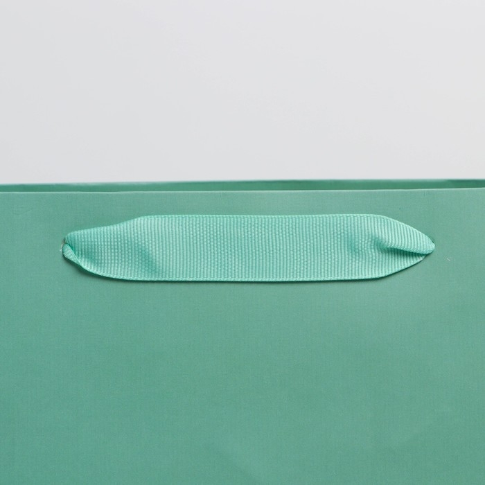 Упаковка, пакет подарочный ламинированный, &laquo;Тиффани&raquo;, M 26 х 30 х 9 см