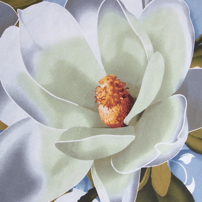 Простыня Этель &laquo;Кувшинки&raquo;150х220 см