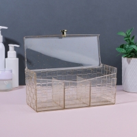 Органайзер для хранения «SHINE», с крышкой, 3 секции, 21,5 × 8,8 × 9,5 см, цвет прозрачный/золотистый Органайзер для хранения «SHINE», с крышкой, 3 секции, 21,5 × 8,8 × 9,5 см, цвет прозрачный/золотистый