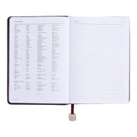 Ежедневник недатированный А5, 160 листов POLO NEW, твёрдая обложка, искусственная кожа, зелёный