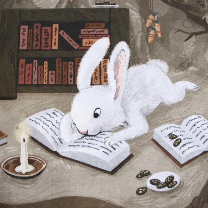 Комплект постельного белья Комплект постельного белья "Этель" 1,5 сп Зимой в берлоге 143х215 см, 150х214 см, 50х70 см -1 шт, 100 % хлопок