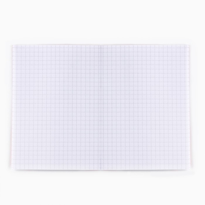 Подарочный набор новогодний, блокнот и ручка пиши-стирай &laquo;Счастья в дом!&raquo;