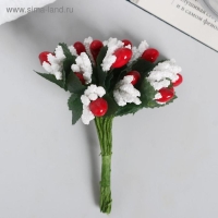 Декор для творчества "Зимние цветы"МИКС 10 см (1 набор=1 букету) в букете 12 цветов Декор для творчества "Зимние цветы"МИКС 10 см (1 набор=1 букету) в букете 12 цветов