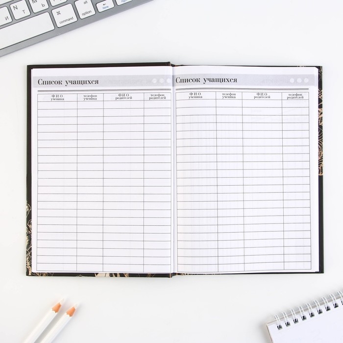 Набор &laquo;Золотой учитель&raquo;: ежедневник А5 160 листов, планинг 50 листов и ручка пластик