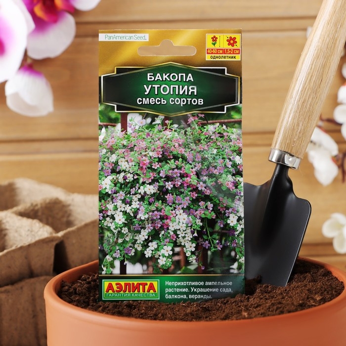 Семена Цветов Бакопа Утопия, смесь сортов --- (драже в пробирке) Сел. PanAmerican Seed 3 шт Семена Цветов Бакопа Утопия, смесь сортов --- (драже в пробирке) Сел. PanAmerican Seed 3 шт