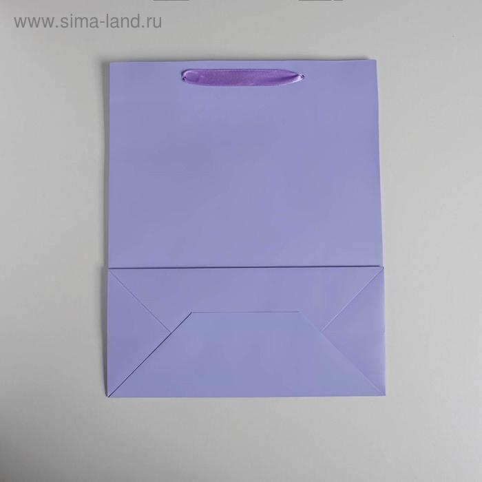 Пакет подарочный, упаковка, «Сиреневый», 26 х 32 х 12 см Пакет подарочный, упаковка, «Сиреневый», 26 х 32 х 12 см