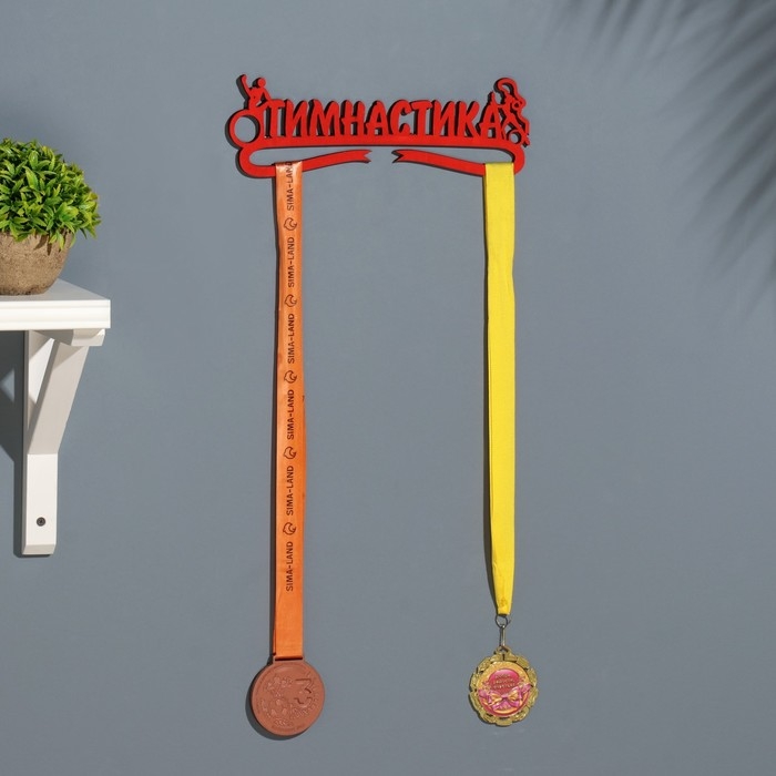 Медальница Медальница "Гимнастика" красный цвет, 28х12 см