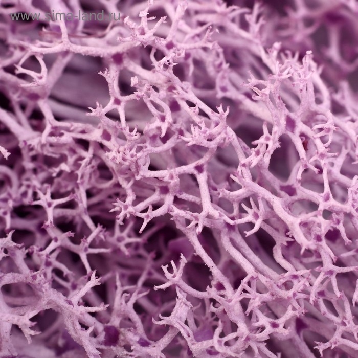 Мох искусственный Мох искусственный "Сиреневый" 10 гр