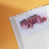 Фотоальбом «Мой первый альбом самых важных воспоминаний», 200 фото Фотоальбом «Мой первый альбом самых важных воспоминаний», 200 фото