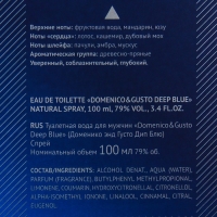 Туалетная вода мужская Domenico&Gusto Deep Blue, 100 мл Туалетная вода мужская Domenico&Gusto Deep Blue, 100 мл