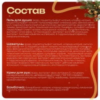 Новогодний подарочный набор косметики &laquo;Морозко&raquo; для душа и ванны. Зеленая серия