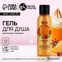 Гель для душа, 100 мл, аромат пряный эль, Новый Год Гель для душа, 100 мл, аромат пряный эль, Новый Год