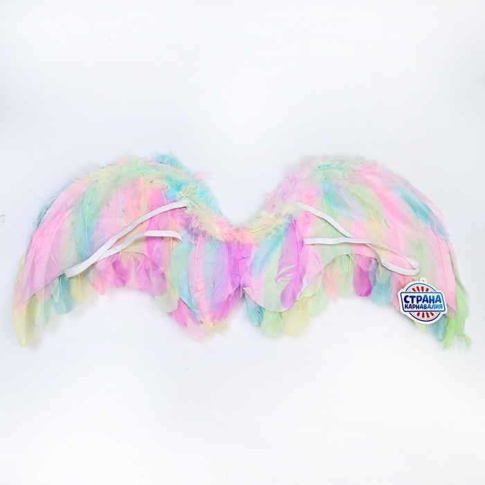 Крылья ангела 77×55 см Крылья ангела 77×55 см