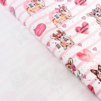 Бумага упаковочная глянцевая "Корги", 70 × 100 см НАБОР 10 шт Бумага упаковочная глянцевая "Корги", 70 × 100 см НАБОР 10 шт