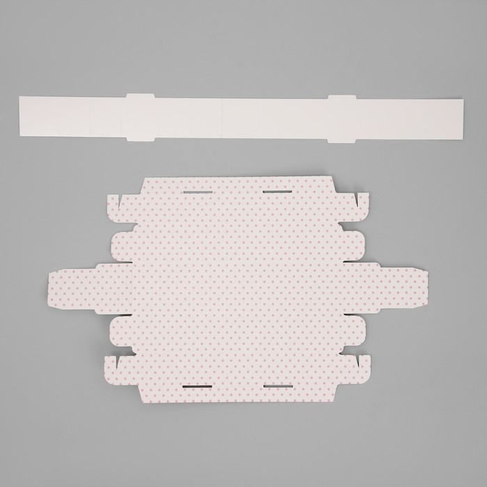 Коробка для конфет, кондитерская упаковка, 5 ячеек, &laquo;Горошек&raquo;, 5 х 21 х 3.3 см