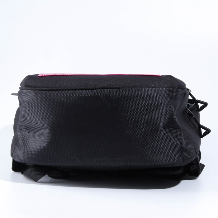 Рюкзак школьный, эргономичная спинка  &laquo;1 сентября: Girl&raquo; 39x32x14 см