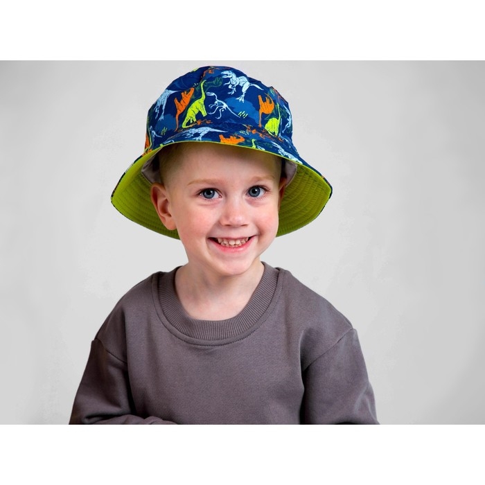 Детский набор "Динозавр" (панама+ мешок для обуви), р-р. 52-54 см